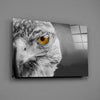 Falcon Glass Wall Art by Insigneart USA