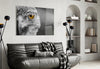 Falcon Glass Wall Art by Insigneart USA