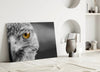 Falcon Glass Wall Art by Insigneart USA