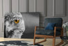 Falcon Glass Wall Art by Insigneart USA
