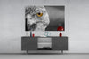 Falcon Glass Wall Art by Insigneart USA