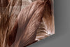 Tropical Leaf Glass Wall Art by Insigneart USA