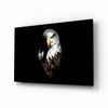 Eagle Glass Wall Art by Insigneart USA