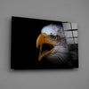 Eagle Glass Wall Art by Insigneart USA