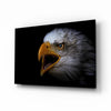 Eagle Glass Wall Art by Insigneart USA