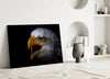 Eagle Glass Wall Art by Insigneart USA