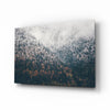 Forest Glass Wall Art by Insigneart USA