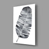 Feather Glass Wall Art by Insigneart USA