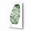 Feather Glass Wall Art by Insigneart USA