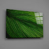 Green Leaf Glass Wall Art by Insigneart USA