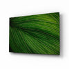 Green Leaf Glass Wall Art by Insigneart USA