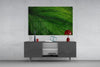 Green Leaf Glass Wall Art by Insigneart USA
