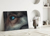 Wolf's Eye Glass Wall Art by Insigneart USA