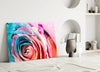 Colored Rose Glass Wall Art by Insigneart USA