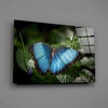 Butterfly Glass Wall Art by Insigneart USA