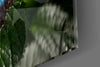 Butterfly Glass Wall Art by Insigneart USA