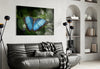 Butterfly Glass Wall Art by Insigneart USA