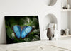 Butterfly Glass Wall Art by Insigneart USA