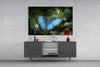 Butterfly Glass Wall Art by Insigneart USA