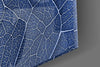 Macro Blue Leaf Glass Wall Art by Insigneart USA
