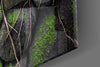 Mossy Stones Glass Wall Art by Insigneart USA
