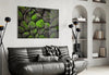Mossy Stones Glass Wall Art by Insigneart USA