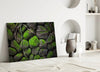 Mossy Stones Glass Wall Art by Insigneart USA
