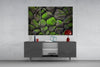 Mossy Stones Glass Wall Art by Insigneart USA