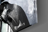 Darth Vader Glass Wall Art by Insigneart USA