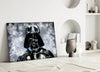 Darth Vader Glass Wall Art by Insigneart USA