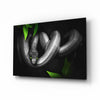 Snake Glass Wall Art by Insigneart USA