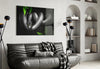 Snake Glass Wall Art by Insigneart USA