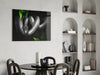 Snake Glass Wall Art by Insigneart USA