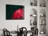 Red Umbrella Glass Wall Art by Insigneart USA