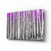 Pink Forest Glass Wall Art by Insigneart USA