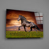 Nobility of Horse Glass Wall Art by Insigneart USA