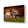 Nobility of Horse Glass Wall Art by Insigneart USA