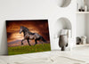 Nobility of Horse Glass Wall Art by Insigneart USA