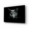 Cat Glass Wall Art by Insigneart USA