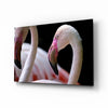 Flamingo Glass Wall Art by Insigneart USA