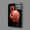Flamingo Glass Wall Art by Insigneart USA