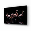 Flamingos Glass Wall Art by Insigneart USA