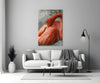 Flamingo Glass Wall Art by Insigneart USA
