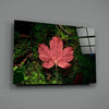 Pink Leaf Glass Wall Art by Insigneart USA