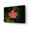Pink Leaf Glass Wall Art by Insigneart USA