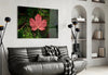 Pink Leaf Glass Wall Art by Insigneart USA