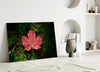 Pink Leaf Glass Wall Art by Insigneart USA