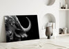 Bison Glass Wall Art by Insigneart USA