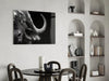 Bison Glass Wall Art by Insigneart USA