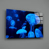 Jellyfish Glass Wall Art by Insigneart USA